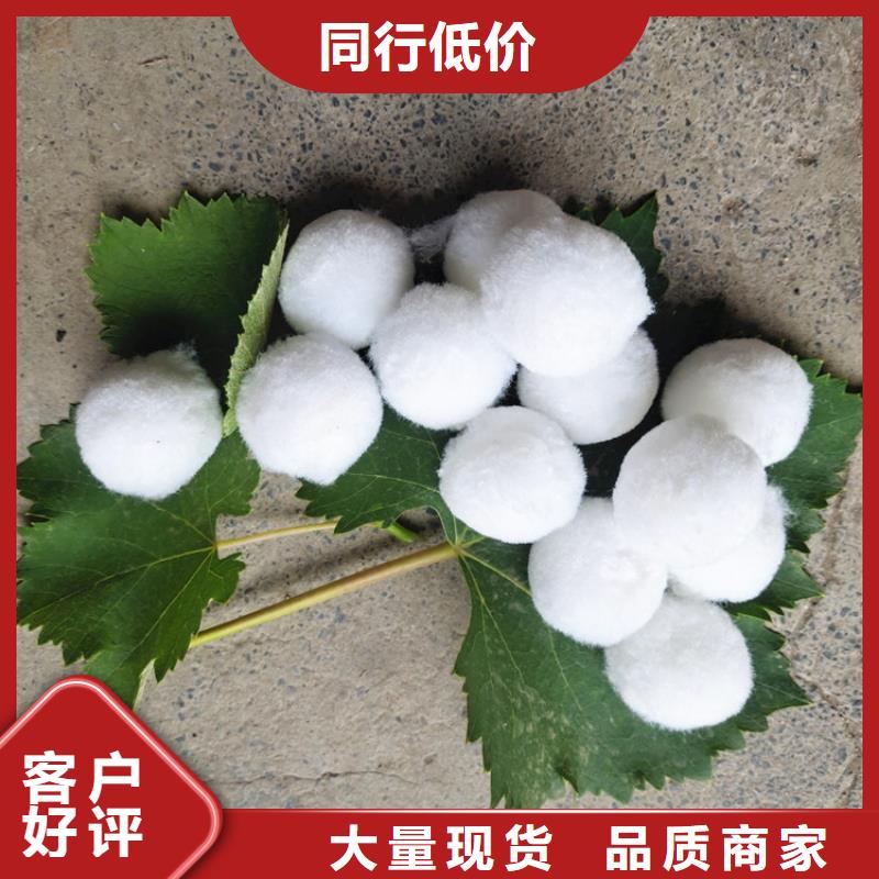 纤维球_污水处理助滤剂实体诚信厂家