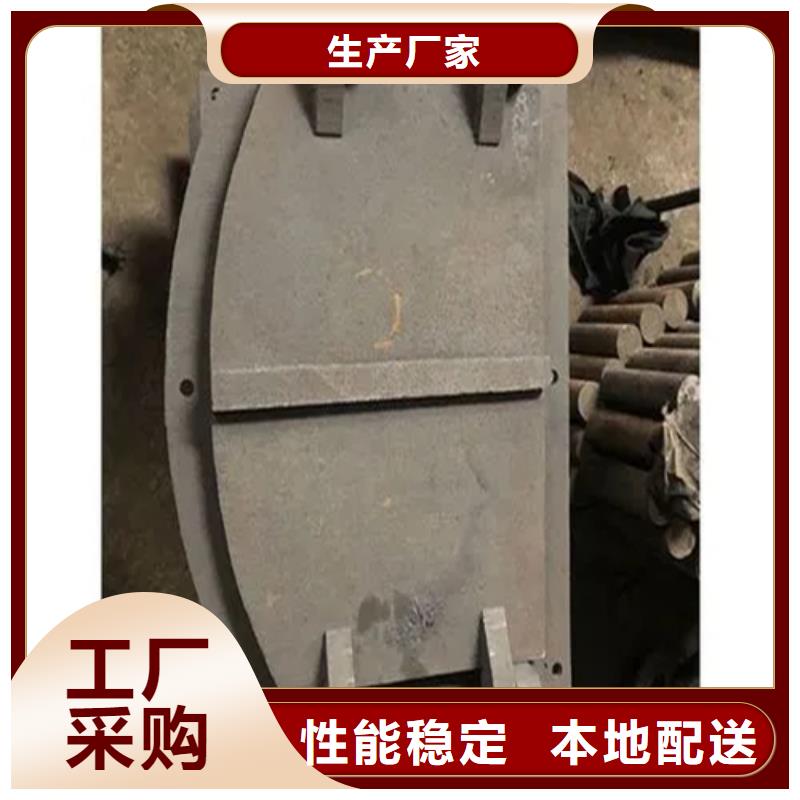炉门精密铸造件源厂供货