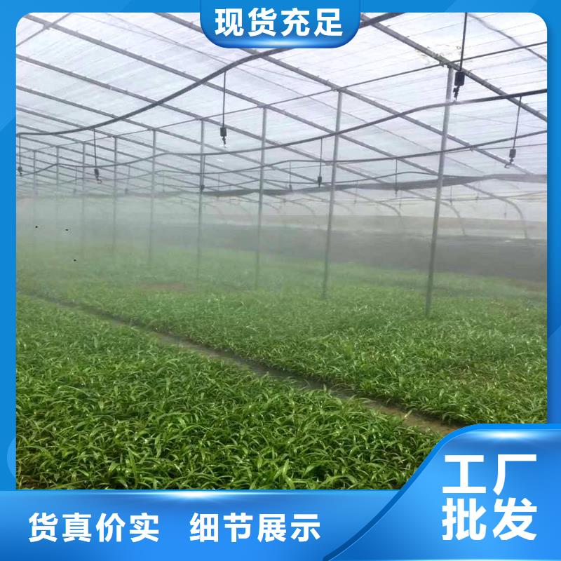 大棚管连栋大棚管满足多种行业需求