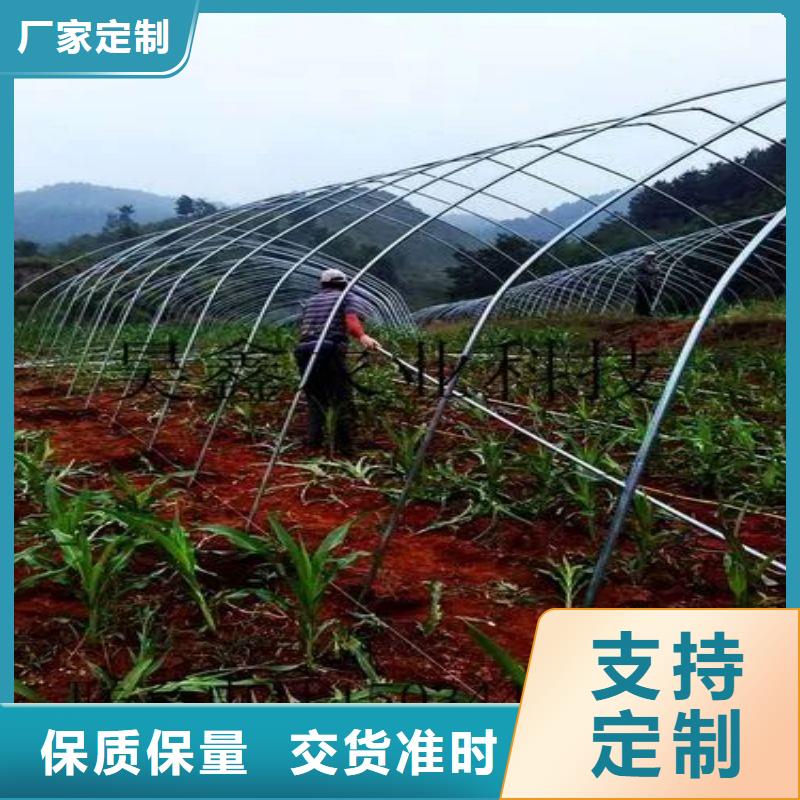 大棚管2
蔬菜温室大棚管细节之处更加用心覆盖范围含|武夷山|光泽|龙岩|莆田|厦门|泉州