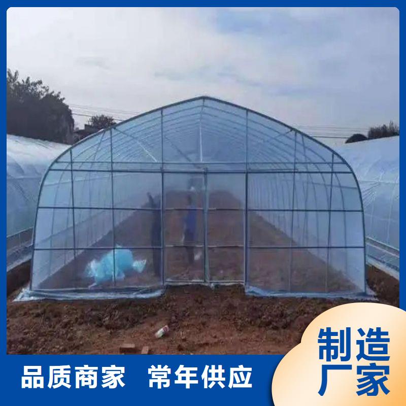 大棚管2铝管  实力派厂家