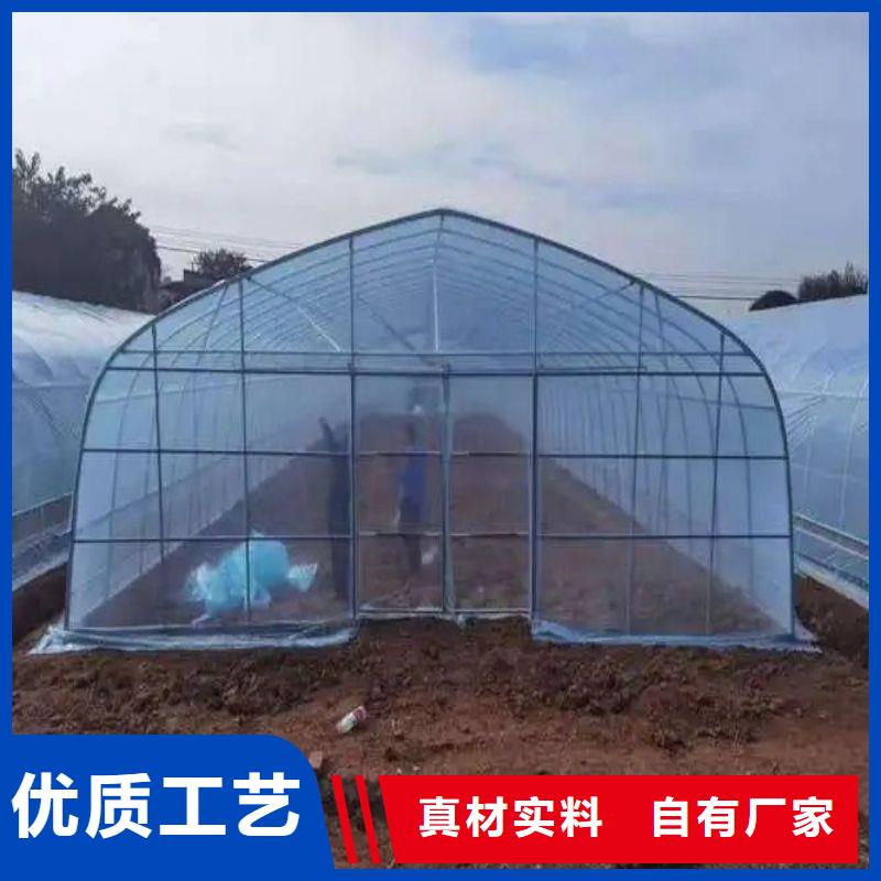 大棚管2_日光温室大棚多年经验值得信赖