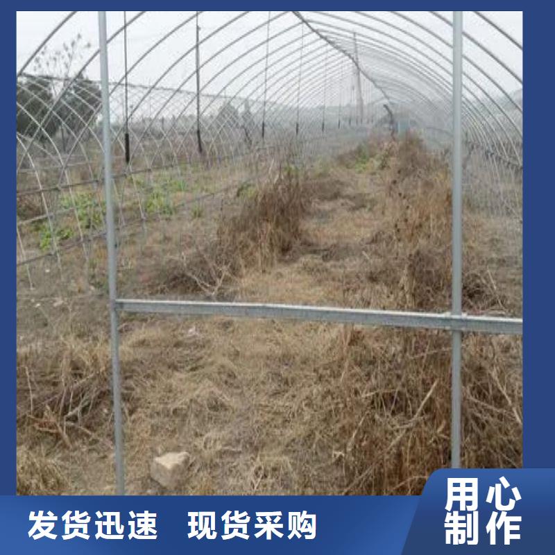 【大棚管2,温室大棚管优选厂商】