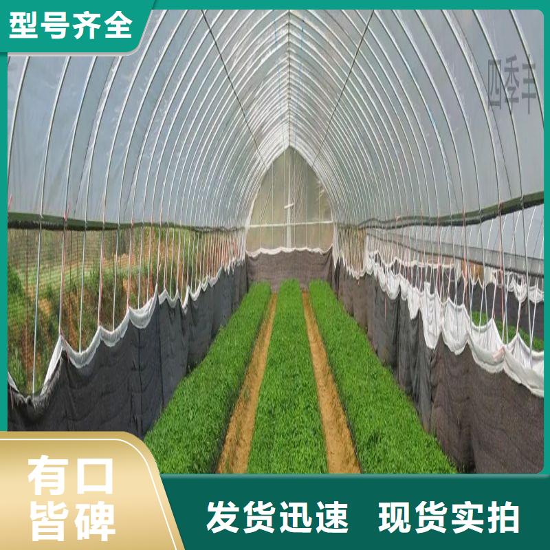 大棚管2温室大棚管品质之选