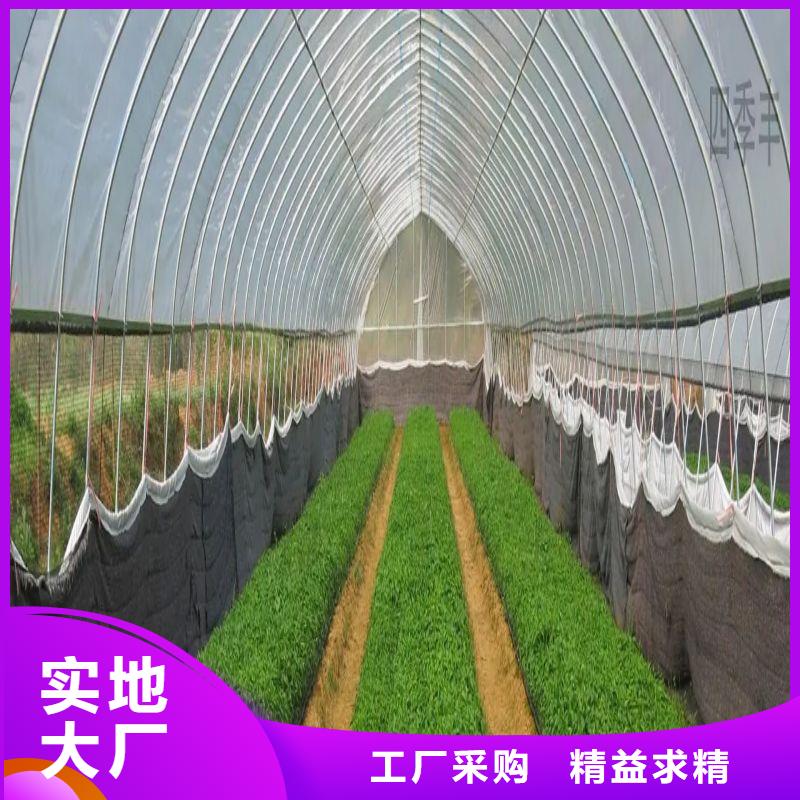 大棚管2【连栋大棚管】常年供应泽沃智能温室大棚