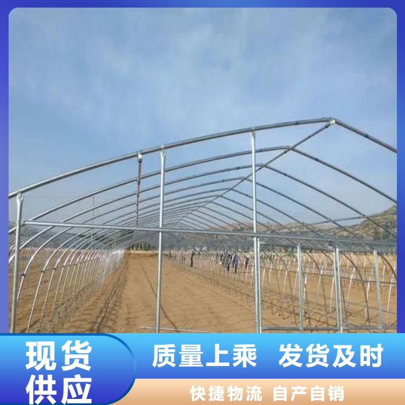大棚管2_温室大棚管诚信商家服务热情