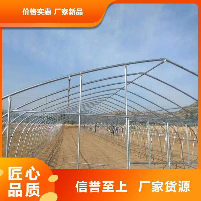 大棚管2,大棚管真正让利给买家