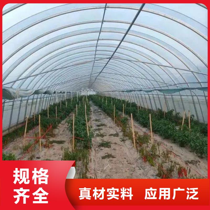 大棚管2【椭圆管温室大棚】高标准高品质