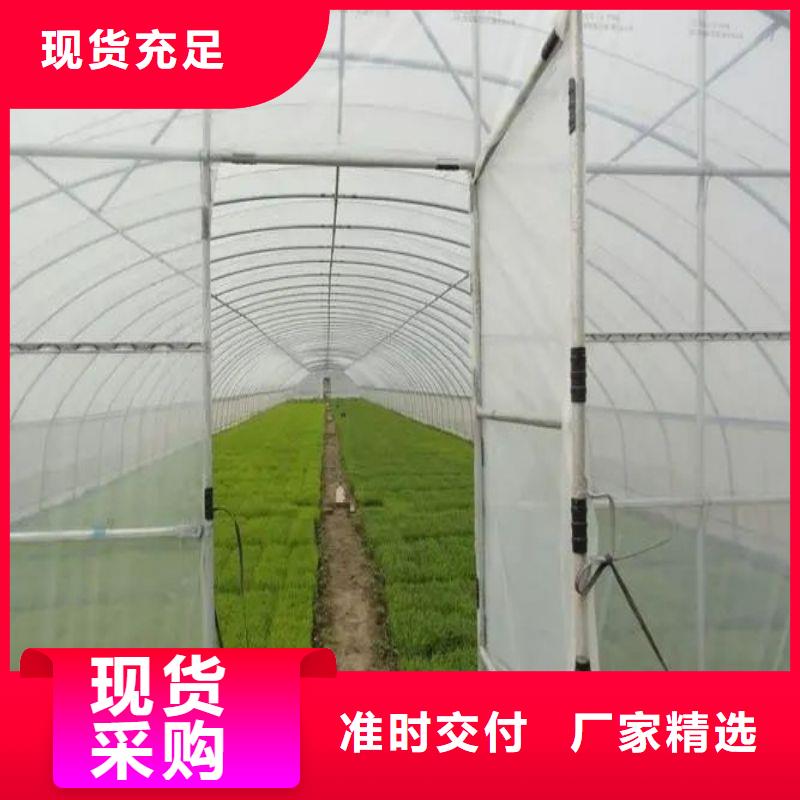 大棚管2大棚骨架品质保障售后无忧