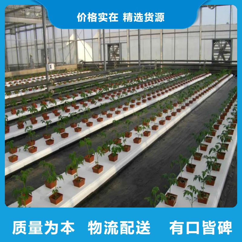 大棚管2大棚管现货满足大量采购