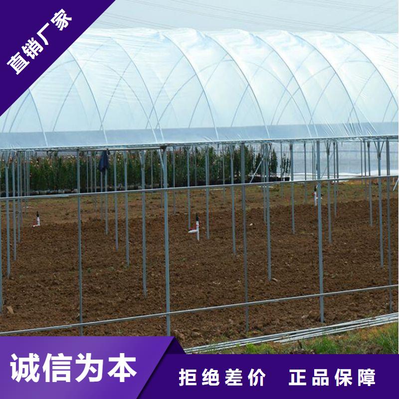 大棚管2 镀锌大棚管颜色尺寸款式定制