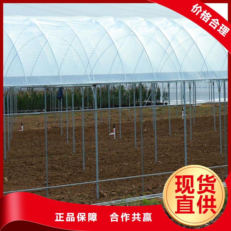 大棚管2【镀锌大棚管】批发商
