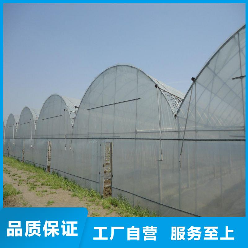 大棚管2,温室大棚源厂直接供货