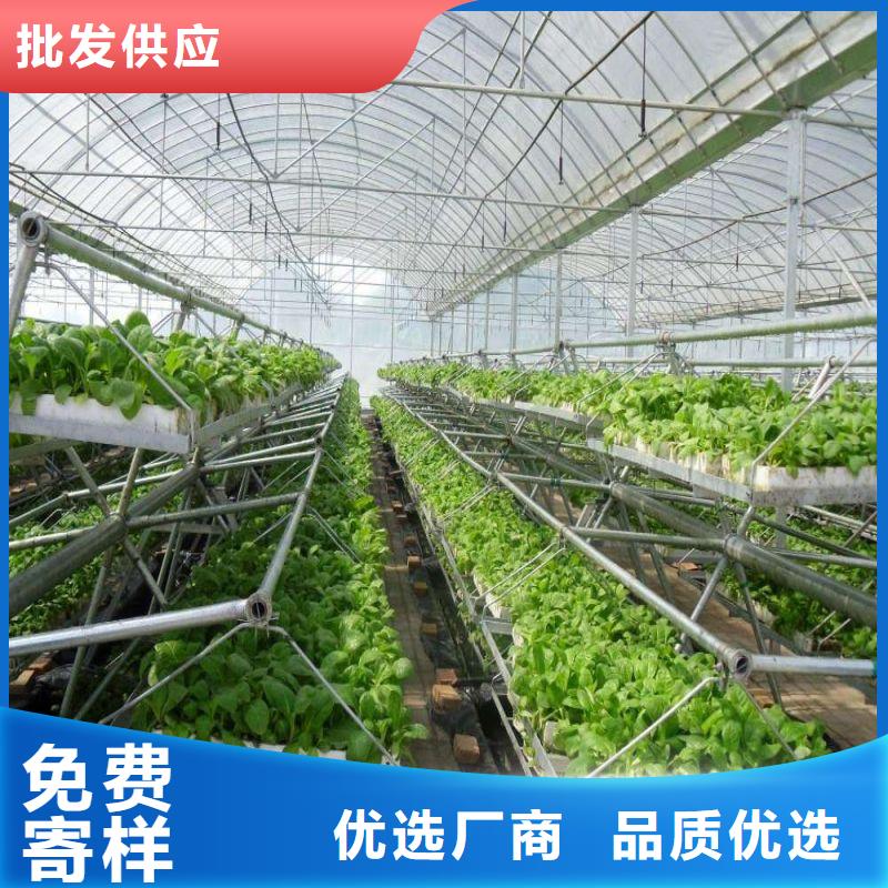 大棚管2 温室大棚管多年厂家可靠
