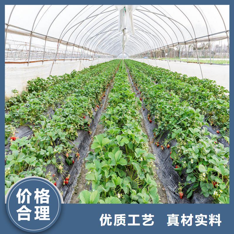 大棚管2大棚管现货满足大量采购