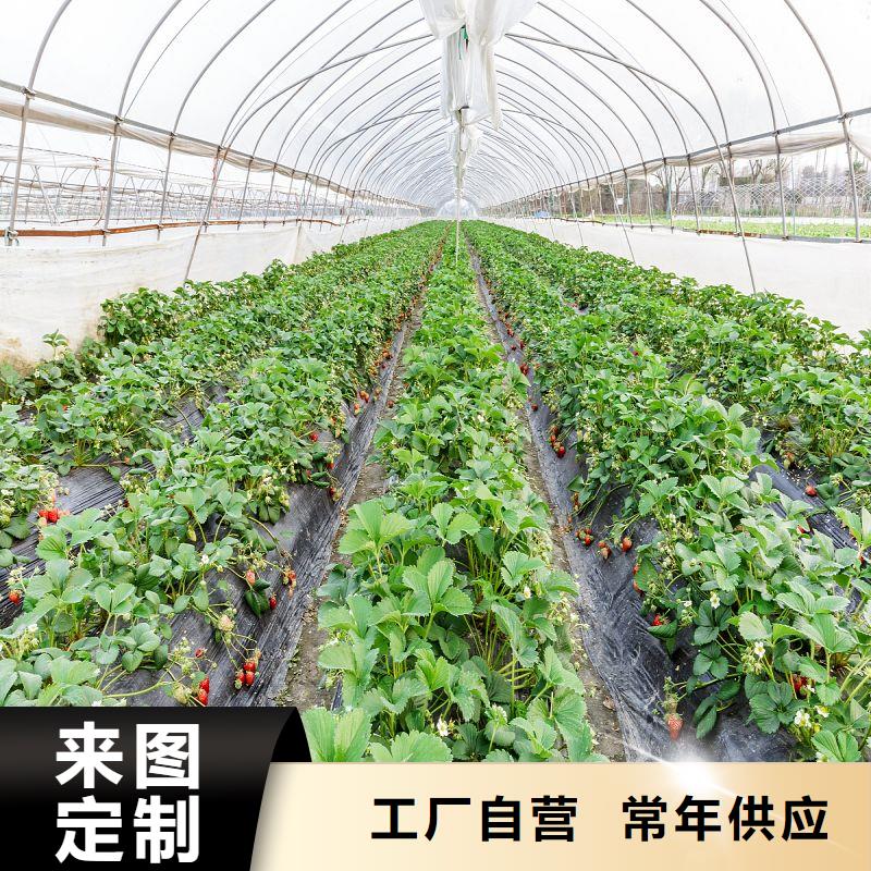 大棚管2大棚管 大棚管工厂价格