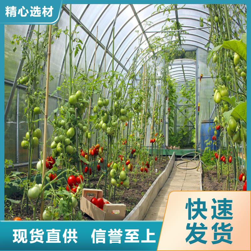 大棚管2连栋大棚管工程施工案例