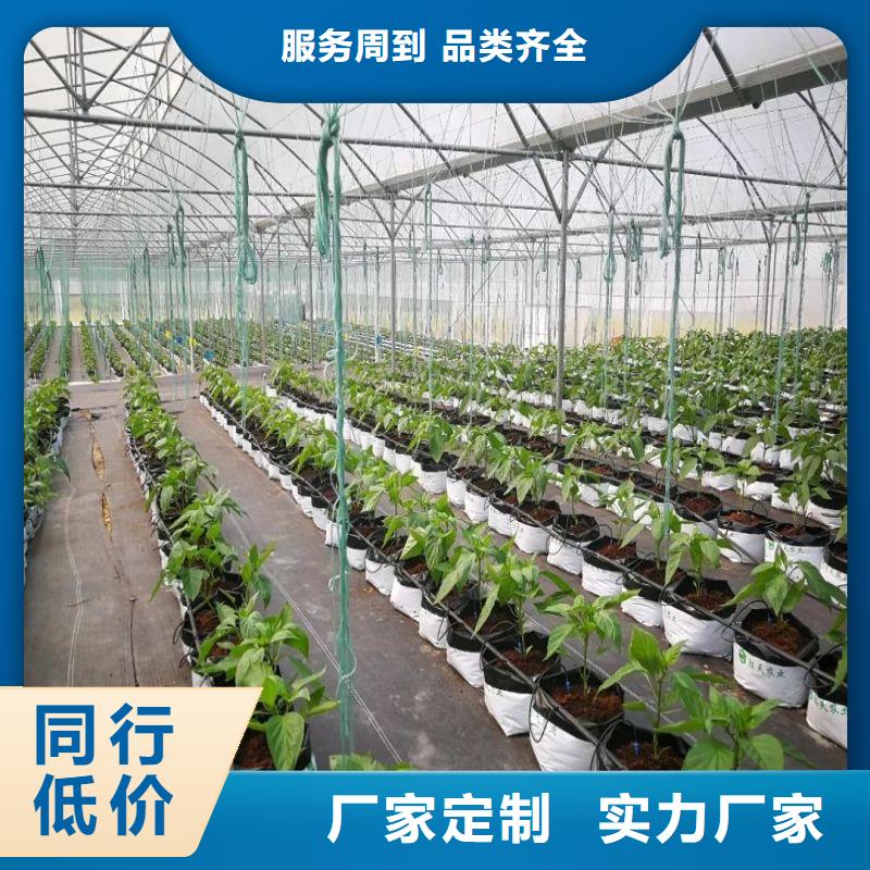 大棚管2大棚管现货满足大量采购
