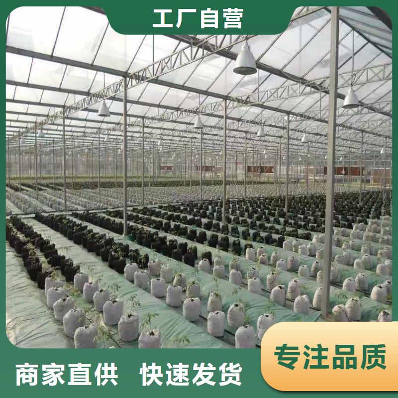 【大棚管2 椭圆管温室大棚为您提供一站式采购服务】