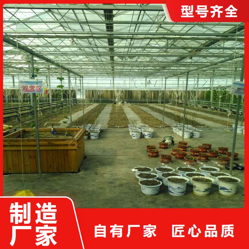 大棚管2,大棚管真正让利给买家