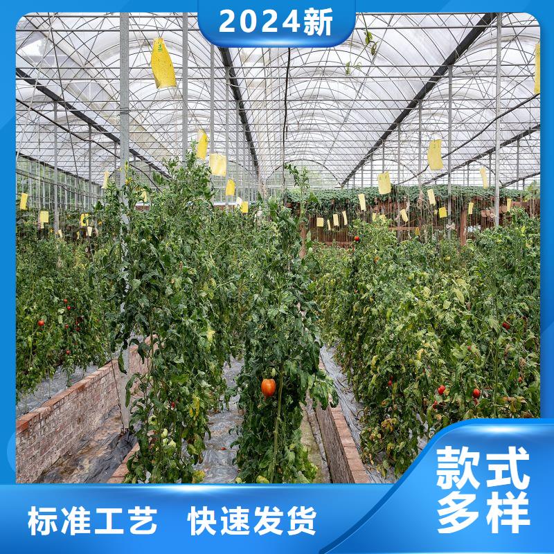 大棚管2_日光温室大棚多年经验值得信赖