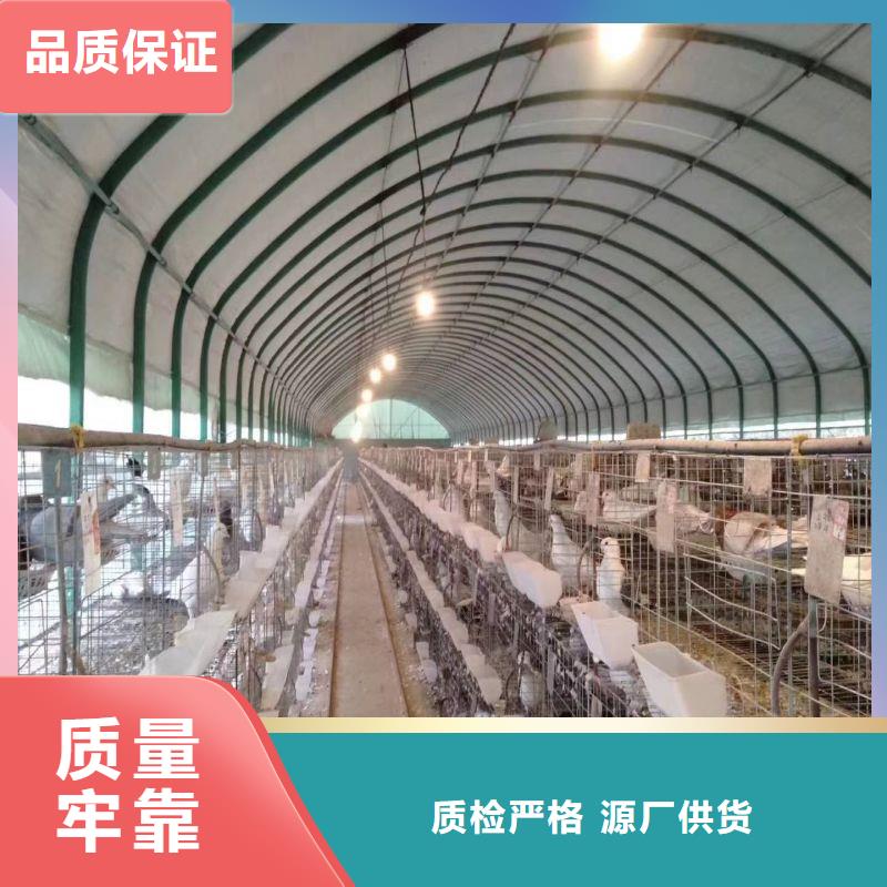 智能温室大棚视频-智能温室大棚|南平市|武夷山|建瓯|莆田|龙岩|泉州|三明|漳州|福州