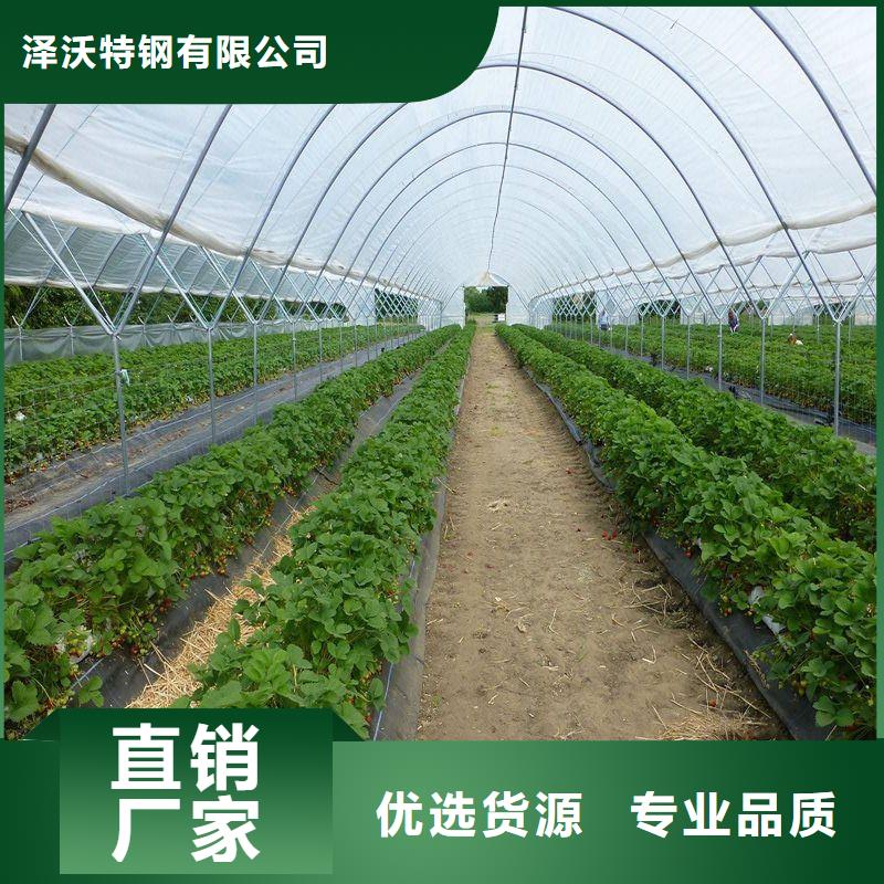 大棚管2连栋大棚管采购无忧