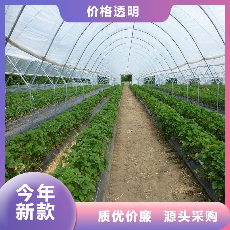 大棚管2大棚管 大棚管工厂价格