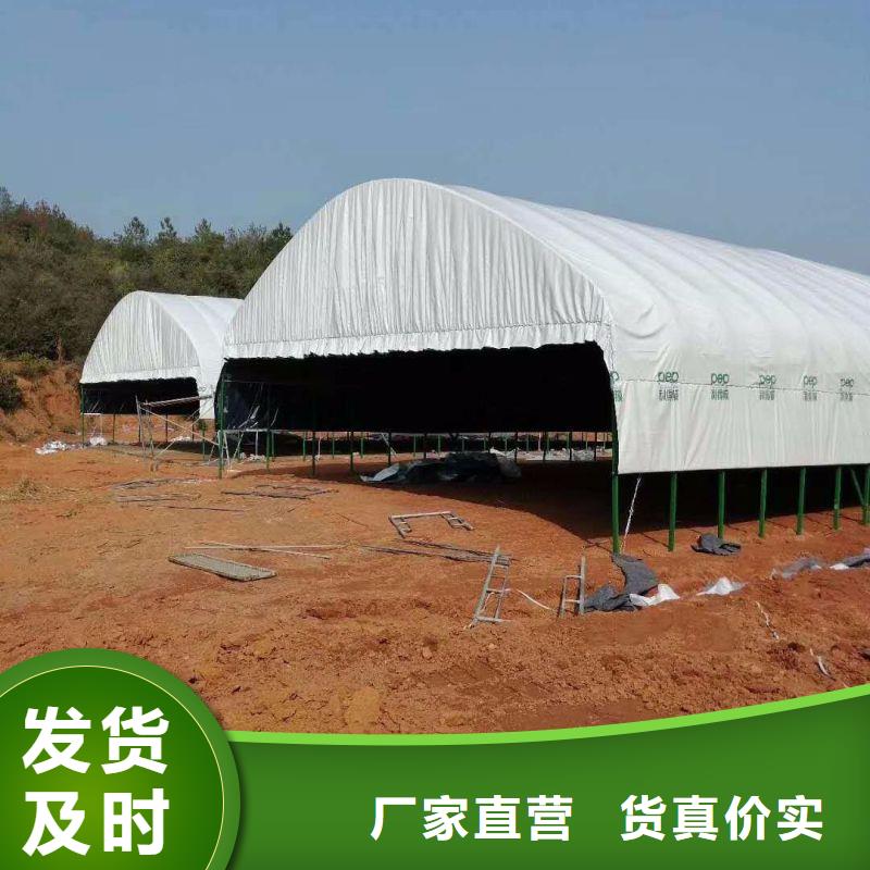 【大棚管2】智能温室大棚专业生产制造厂