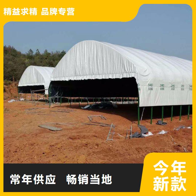 【大棚管2】-大棚管 大棚管多年行业经验