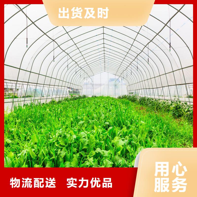 大棚管2【连栋大棚管】常年供应泽沃智能温室大棚