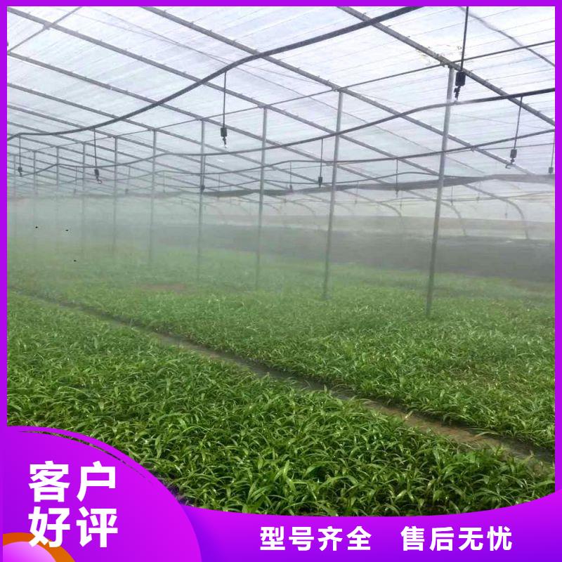 大棚管2-镀锌大棚管市场行情