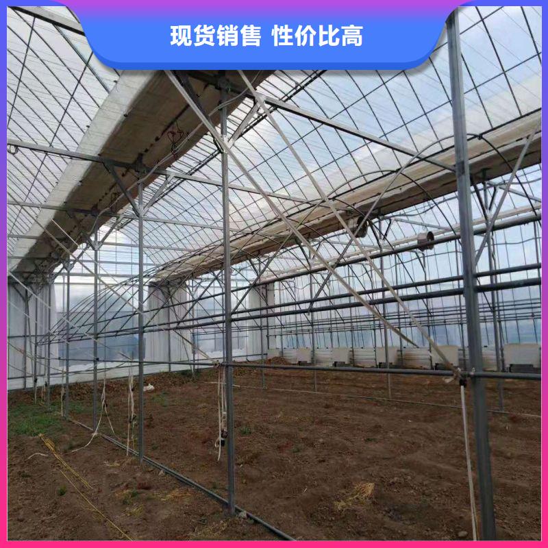 智能温室大棚-视频-丽水市智能温室大棚-泽沃特钢(丽水市分公司)服务区域青田|缙云|湖州|台州|杭州|绍兴|舟山|嘉兴|宁波