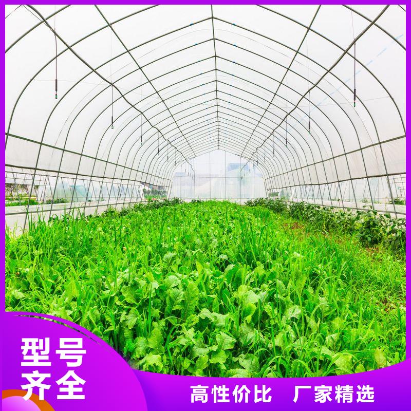 大棚管2农业养殖大棚管实时报价