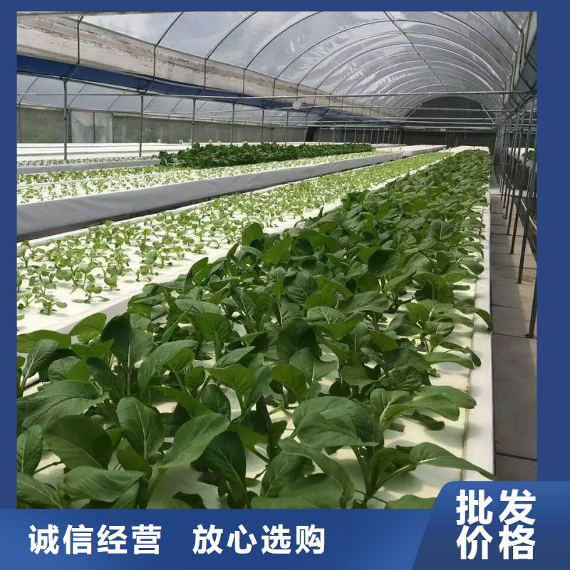 大棚管2,大棚管真正让利给买家