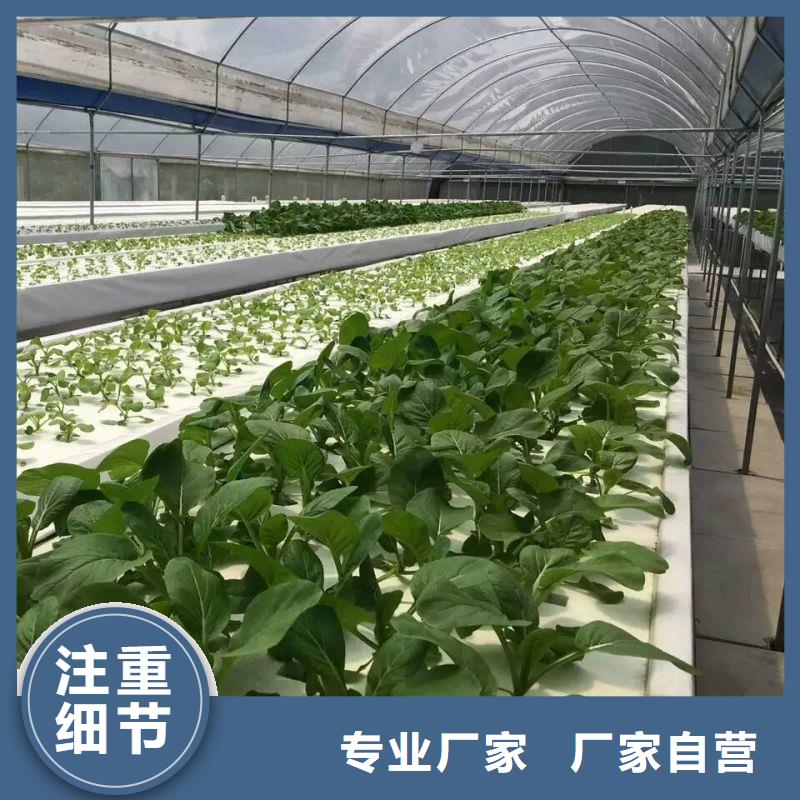大棚管2大棚管 大棚管工厂价格