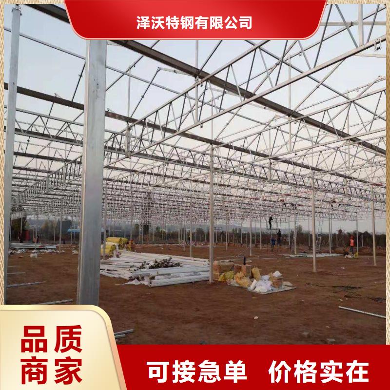 大棚管2_日光温室大棚多年经验值得信赖