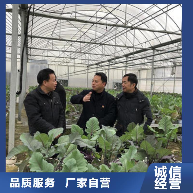 大棚管农业养殖大棚管可接急单