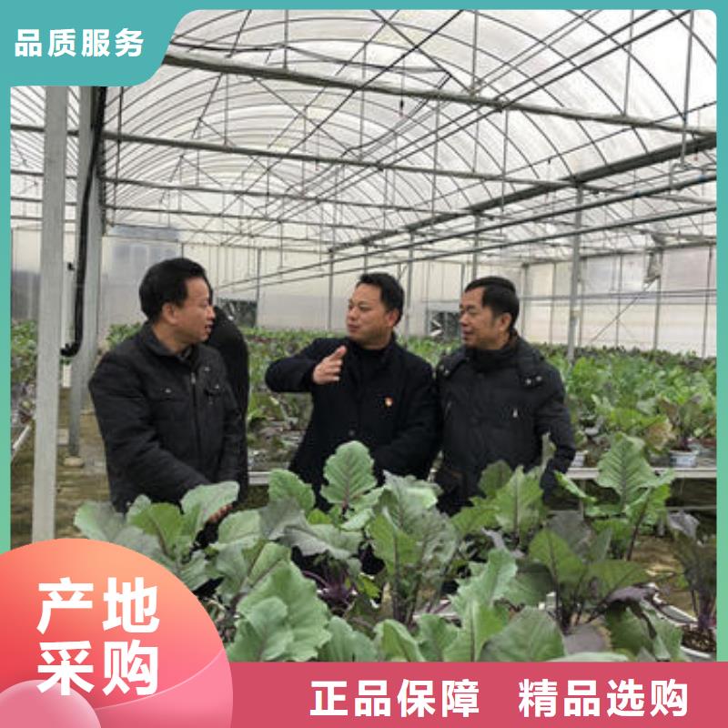 大棚管大棚管厂家实拍品质保障