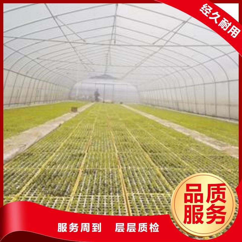 大棚管方矩管好品质选我们