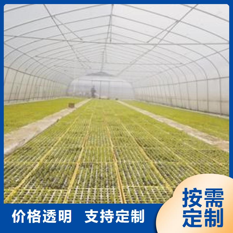 大棚管温室大棚管定制速度快工期短