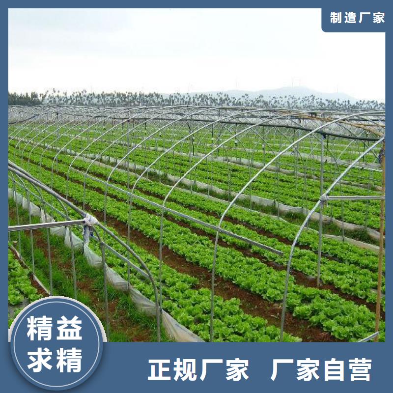 【大棚管,农业养殖大棚管用心服务】
