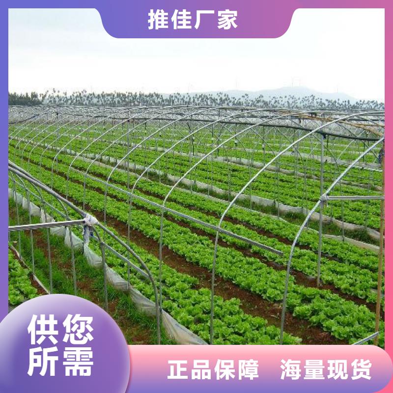 【 大棚管3-
蔬菜温室大棚管源头厂家直销】泽沃智能温室大棚