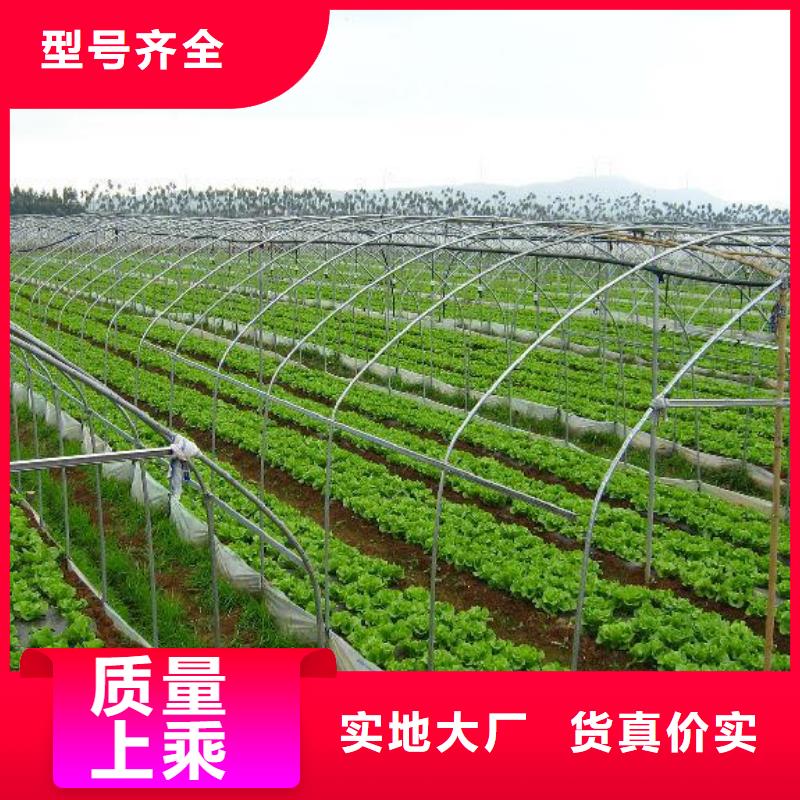 大棚管方矩管好品质选我们