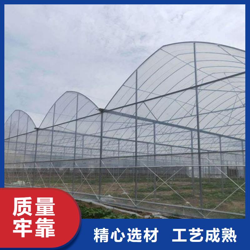  大棚管经验丰富质量放心