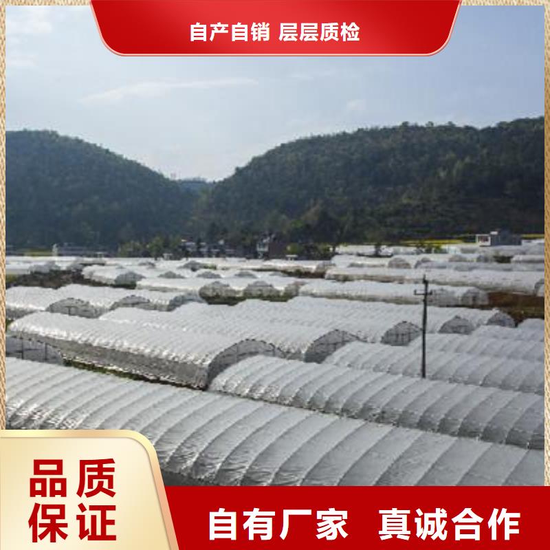 智能温室大棚视频-智能温室大棚_四川省阿坝市市场覆盖壤塘|黑水|泸州|南充|成都|绵阳等