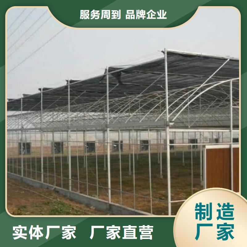 大棚管温室大棚管讲信誉保质量