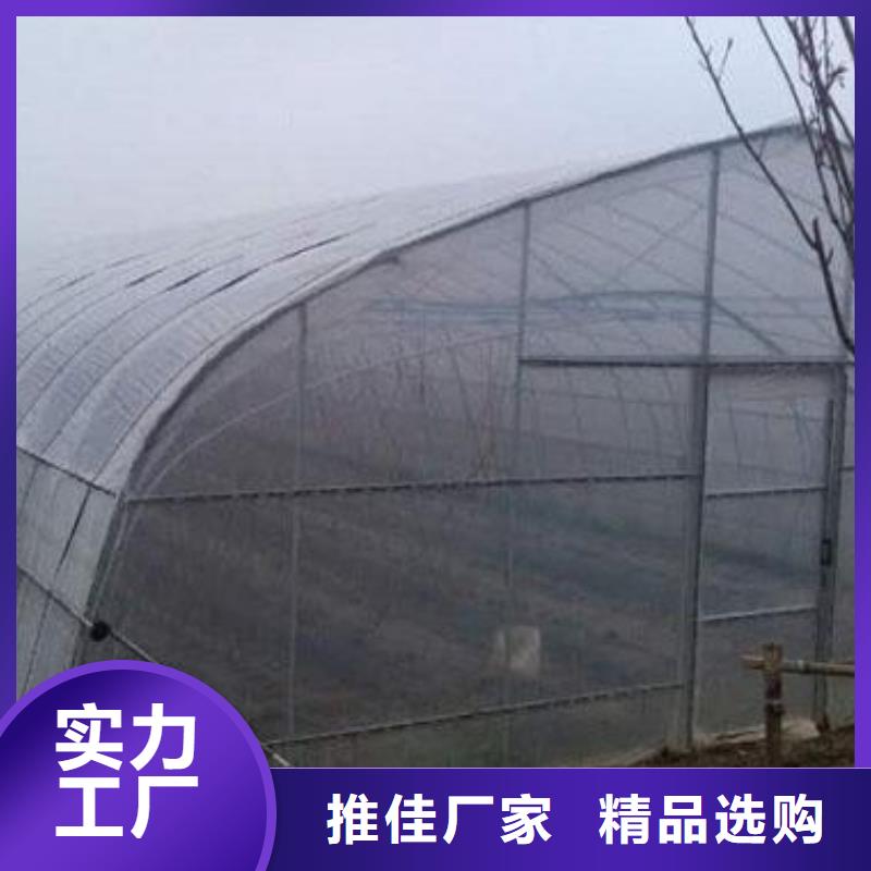 智能温室大棚-视频-智能温室大棚_甘肃省嘉峪关市市场覆盖庆阳|酒泉|定西|金昌等