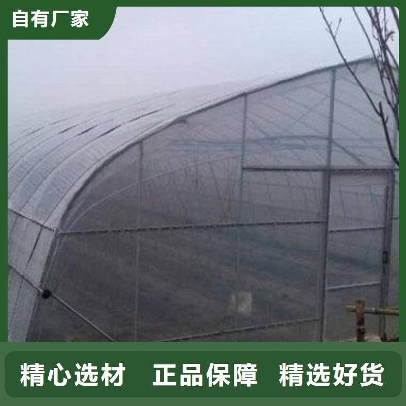 大棚管蔬菜温室大棚管支持定制加工