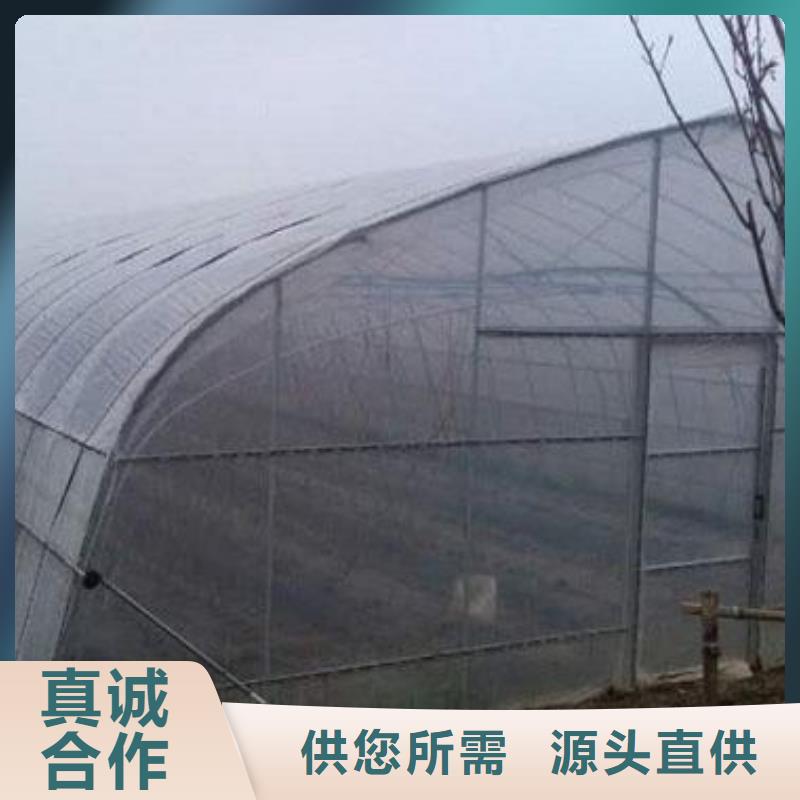 大棚管温室大棚管讲信誉保质量